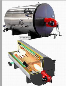 纺织印染行业专用燃气导热油锅炉厂家价格 厂家 图片